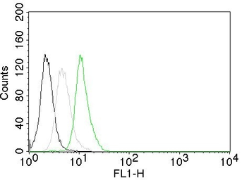 Anti-Cyclin D1 antibody [CCND1/809] used in Flow cytometry (FCM). GTX34617