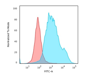 Anti-Cytokeratin 7 antibody [K72.7] used in Flow cytometry (FCM). GTX34657