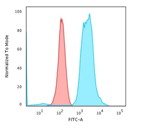 Anti-Fascin 1 antibody [FSCN1/416] used in Flow cytometry (FCM). GTX34717