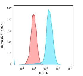 Anti-Fascin 1 antibody [SPM133] used in Flow cytometry (FCM). GTX34719