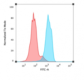 Anti-FOXA1 antibody [FOXA1/1519] used in Flow cytometry (FCM). GTX34740