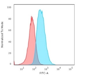 Anti-GFAP antibody [SPM248] used in Flow cytometry (FCM). GTX34756