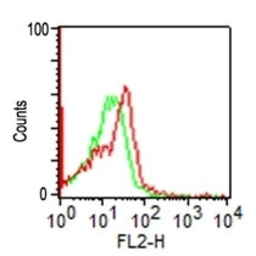 Anti-NCAM antibody [SPM128] used in Flow cytometry (FCM). GTX34891