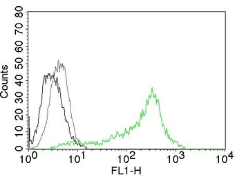 Anti-Nucleolin antibody [364-5] used in Flow cytometry (FCM). GTX34916