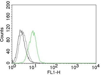 Anti-p27 Kip1 antibody [SX53G8] used in Flow cytometry (FCM). GTX34928