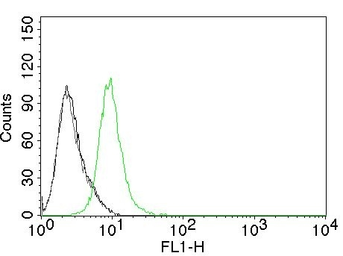 Anti-p27 Kip1 antibody [KIP1/769] used in Flow cytometry (FCM). GTX34930