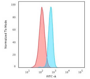 Anti-SPTBN2 antibody [SPTBN2/1582] used in Flow cytometry (FCM). GTX35089