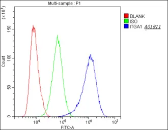 Anti-Integrin alpha 5 antibody used in Flow cytometry (FCM). GTX35249