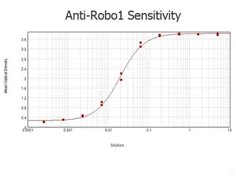 Anti-ROBO1 antibody used in ELISA (ELISA). GTX36928