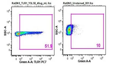 Anti-TLR1 antibody used in Flow cytometry (FCM). GTX37329