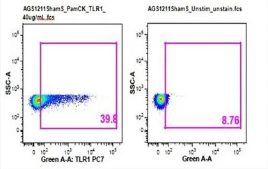 Anti-TLR1 antibody used in Flow cytometry (FCM). GTX37329