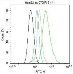 Anti-LDL Receptor antibody used in Flow cytometry (FCM). GTX37639
