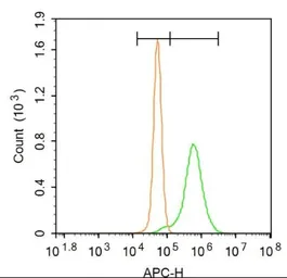 Anti-LDL Receptor antibody used in Flow cytometry (FCM). GTX37639