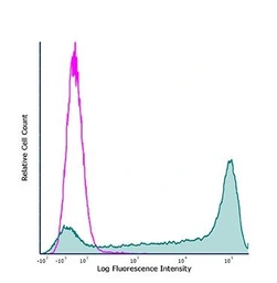 Anti-Ly6g antibody [RB6-8C5] used in Flow cytometry (FCM). GTX40913
