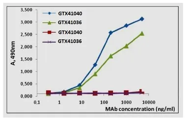 Anti-Influenza B virus Nucleoprotein antibody [B267M] used in ELISA (ELISA). GTX41036