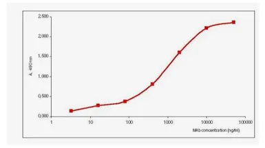 Anti-Influenza B virus M1 (matrix protein) antibody [B276M] used in ELISA (ELISA). GTX41044