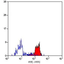 Anti-Dectin-1 antibody [2A11] used in Flow cytometry (FCM). GTX41467