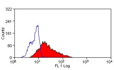 Anti-p22phox antibody [CS9] used in Flow cytometry (FCM). GTX41562