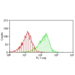 Anti-CD98 antibody [H202-529.4.1.4] used in Flow cytometry (FCM). GTX41742