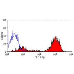 Anti-CD9 antibody [Bu16] used in Flow cytometry (FCM). GTX41761