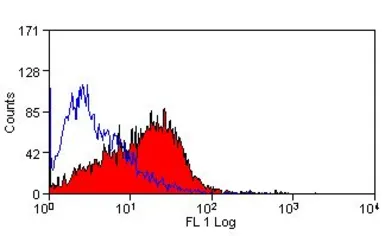 Anti-CD86 antibody [24F] used in Flow cytometry (FCM). GTX41790