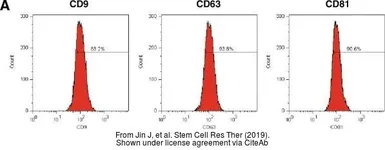 Anti-CD81 antibody [Eat2] used in Flow cytometry (FCM). GTX41794