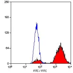 Anti-CD68 antibody [FA-11] used in Flow cytometry (FCM). GTX41864