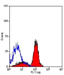 Anti-JAM-A antibody [H202-106] used in Flow cytometry (FCM). GTX42075