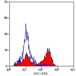 Anti-CD3 epsilon antibody [CA17.2A12] used in Flow cytometry (FCM). GTX42112