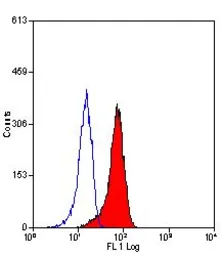 Anti-Mannose Receptor antibody [MR5D3] used in Flow cytometry (FCM). GTX42264