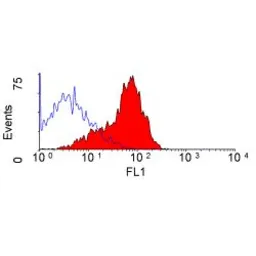 Anti-CD200 antibody [OX-2] used in Flow cytometry (FCM). GTX42296