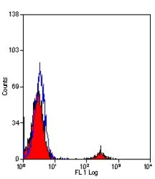 Anti-CD19 antibody [Bu12] used in Flow cytometry (FCM). GTX42326