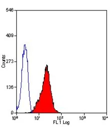 Anti-Fas Ligand antibody [14C2] used in Flow cytometry (FCM). GTX42343