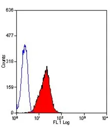 Anti-Fas Ligand antibody [14C2] used in Flow cytometry (FCM). GTX42344
