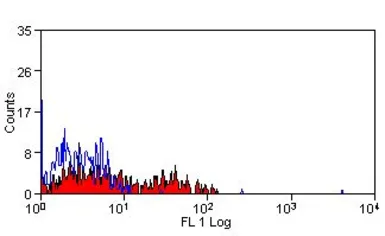 Anti-CD160 antibody [BY55] (Azide free) used in Flow cytometry (FCM). GTX42371