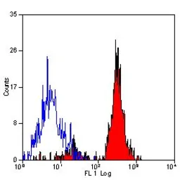 Anti-CD151 antibody [11G5a] used in Flow cytometry (FCM). GTX42394