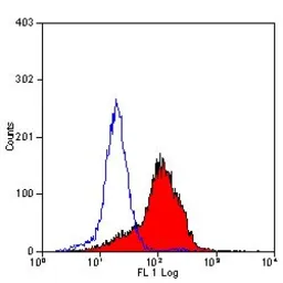 Anti-CD147 antibody [OX114] used in Flow cytometry (FCM). GTX42407
