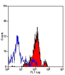 Anti-CD13 antibody [ER-BMDM1] used in Flow cytometry (FCM). GTX42443