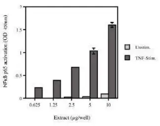 Anti-Chk1 antibody [DCS-310] used in  (). GTX42610