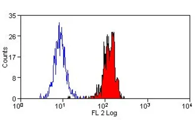 Anti-Dectin-1 antibody [GE2] (PE) used in Flow cytometry (FCM). GTX42982