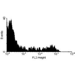 Anti-CD8 beta antibody [CC58] (PE) used in Flow cytometry (FCM). GTX43018