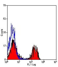 Anti-CD8 antibody [YCATE55.9] (PE) used in Flow cytometry (FCM). GTX43022