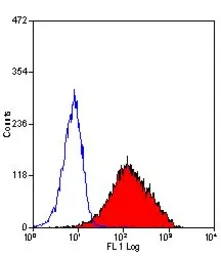 Anti-CD34 antibody [1H6] (PE) used in Flow cytometry (FCM). GTX43103