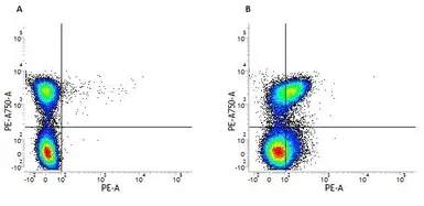 Anti-CD150 antibody [9D1] (PE) used in Flow cytometry (FCM). GTX43194
