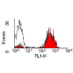 Anti-MHC Class II (monomorphic) antibody [YKIX334.2] (FITC) used in Flow cytometry (FCM). GTX43387