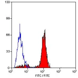 Anti-Ly-6B.2 antibody [7/4] (FITC) used in Flow cytometry (FCM). GTX43417