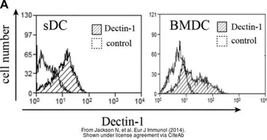 Anti-Dectin-1 antibody [2A11] (FITC) used in Flow cytometry (FCM). GTX43454