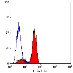 Anti-Dectin-1 antibody [2A11] (FITC) used in Flow cytometry (FCM). GTX43454