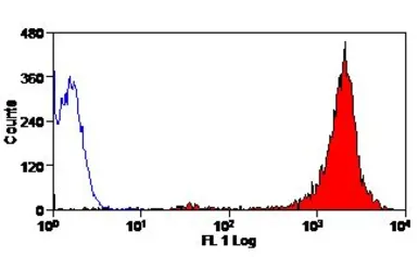 Anti-Cryptosporidium antibody [BEL 0126] (FITC) used in Flow cytometry (FCM). GTX43464
