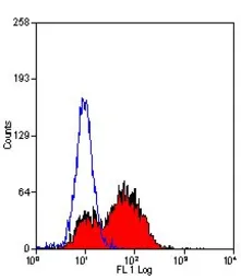 Anti-CD86 antibody [PO3] (FITC) used in Flow cytometry (FCM). GTX43485